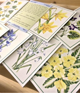 Fax Pax Wild Flowers