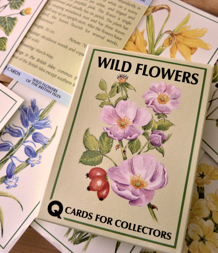 Fax Pax Wild Flowers