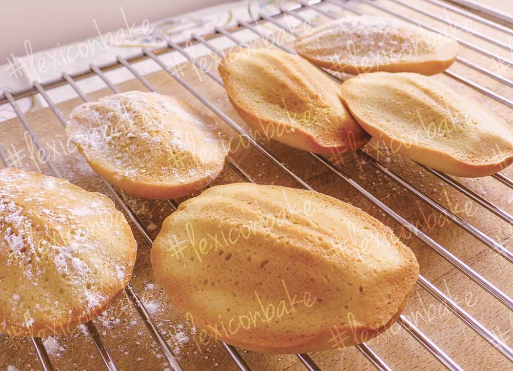 Madeleine cakes